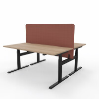 Maro Lano-E 300 F Bench - 2er Arbeitsplatz