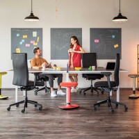 Dauphin Trendoffice to-strike comfort pro SK 9248 SY2