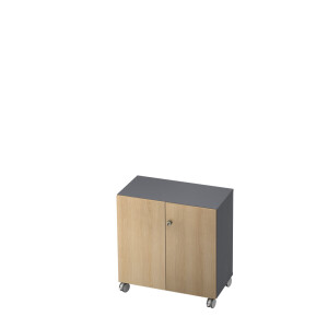 Hammerbacher Profi2 - Schrank  - Breite 80cm