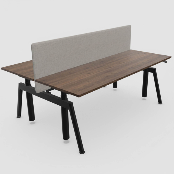 Balma Doppelarbeitsplatz Serie Plus P4 mit Trennwand