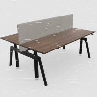 Balma Doppelarbeitsplatz Serie Plus P4 mit Trennwand