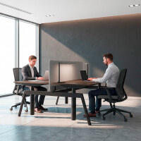 Balma Doppelarbeitsplatz Serie Plus P4 mit Trennwand